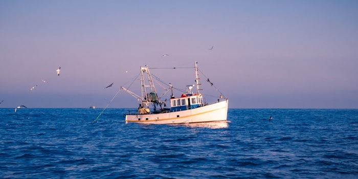 Master Near Coastal: equivalent to NZ’s Skipper Coastal Offshore
